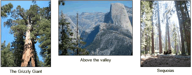 Yosemite pics